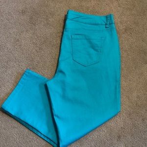 Cropped Ankle Pant in Blue - Size 12